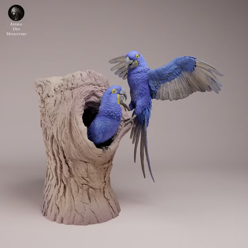 Hyacinth macaws printed - hyacinth,