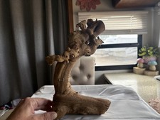 Manzanita Root Aquarium Fish