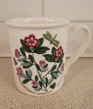 Vintage Portmeirion Botanic