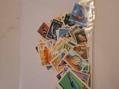 100 different fish thematic - 100,