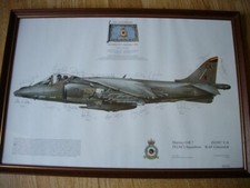 Squadron framed print - (4),