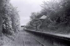 PHOTO BR British Railways Station Scene - STRATHAVEN NORTH 1954