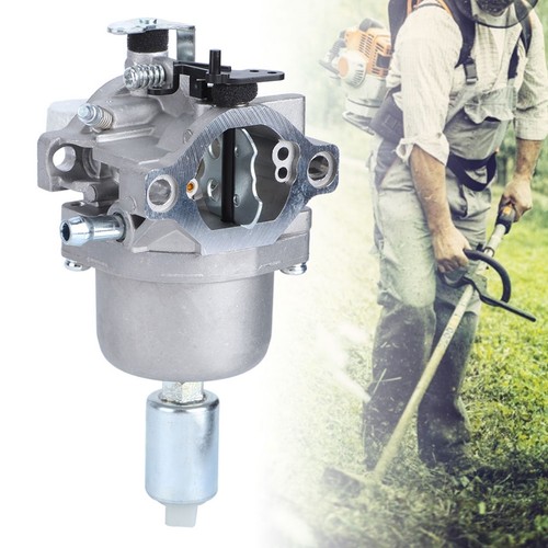 Garden lawn mower - lawn, carburetor