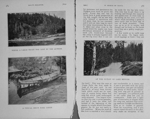 Old antique print 1909 trout - 1909,