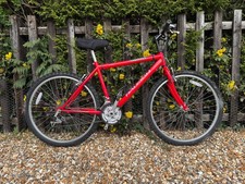 RALEIGH FIREFLY MOUNTAIN