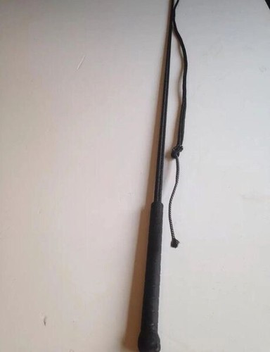 Buggy whip dealer small - whip/dealer, whip/small