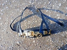 Leather Lunge Cavesson