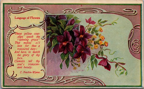 Language flowers postcard - language,
