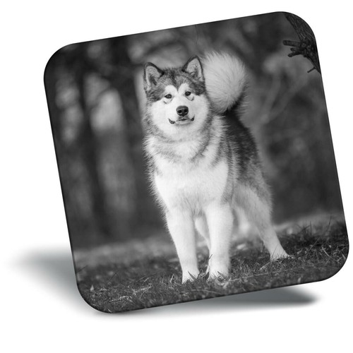 Awesome fridge magnet - fridge,