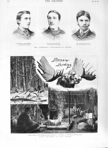 Old antique print 1882 - old, moose