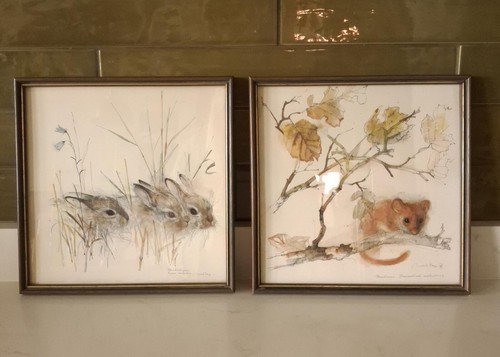 Pair mads stage framed - a,