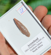 HIGH GRADE PREHISTORIC/