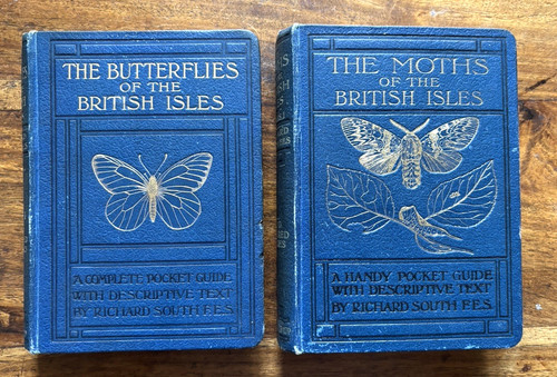 Butterflies the british - butterflies,