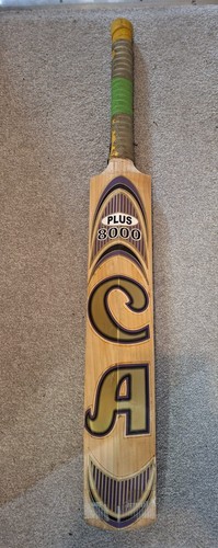 Plus 8000 english - plus, willow