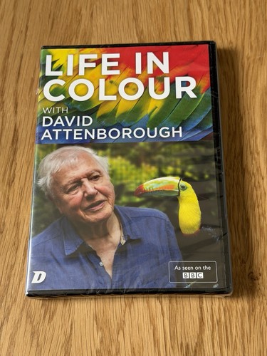 Life colour with david - life,