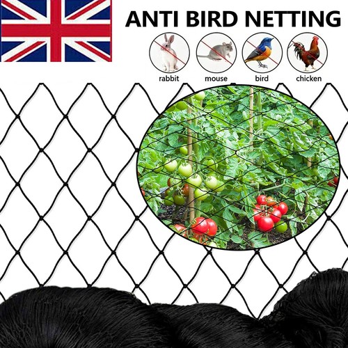 Anti bird net garden - anti,