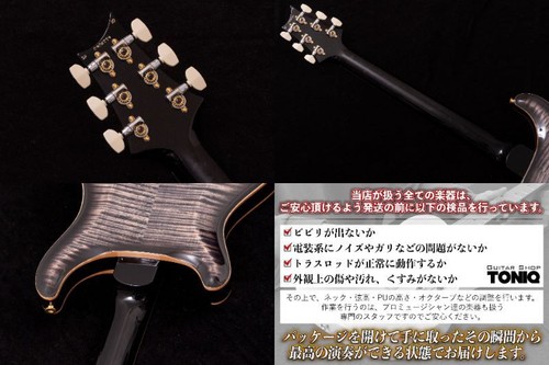 Prs mccarty 594 hollowbody - prs, ii