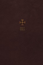 NRSV, Catholic Bible, Journal