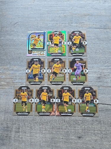 Panini wolverhampton x10 inc - wolverhampton,