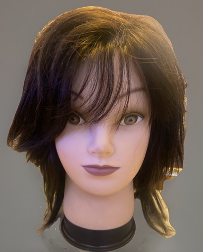 Mannequin head for - mannequin,