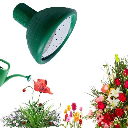 Garden watering can rose - garden,