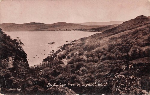 Tighnabruaich birds eye view - birds,