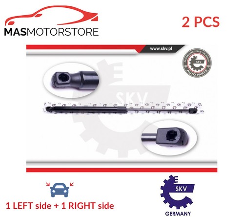 Tailgate boot struts set - tailgate,