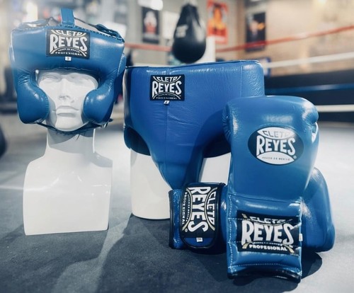 Mma pro reyes boxing sparring - pro,