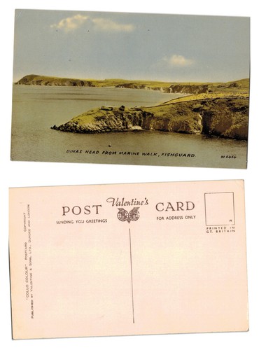 Vintage postcard dinas - postcard,