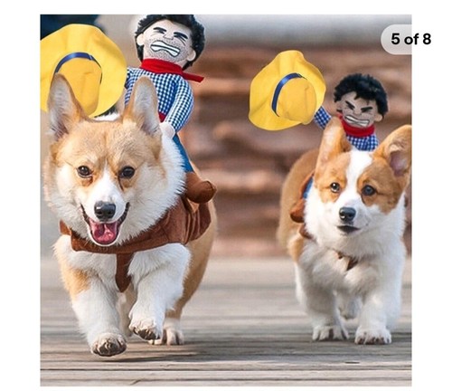 Halloween cowboy dog - halloween,