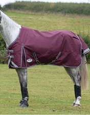 ComFiTec Plus Dynamic II Standard Neck Medium 5’6