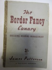The Border Fancy Canary 
