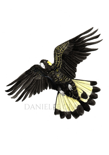 Watercolour flying yellow - flying,