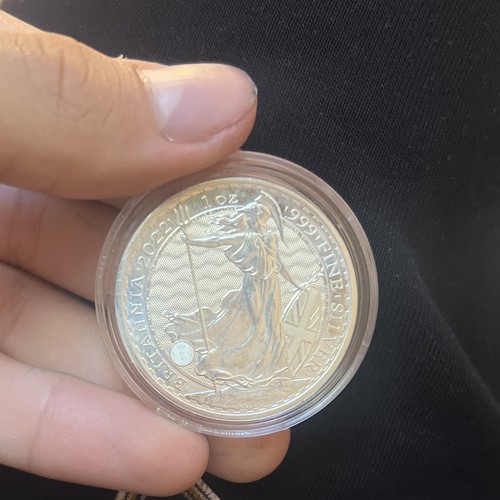 Britannia 1oz coin - , fine
