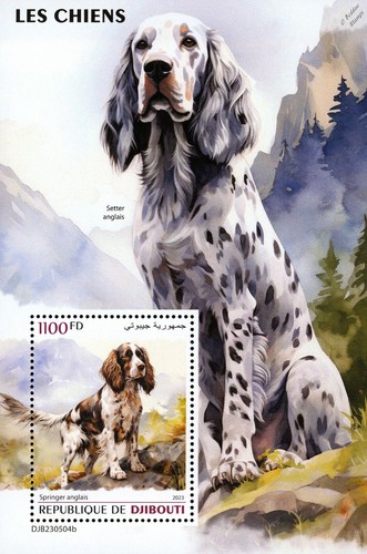 Dogs english springer - (english,