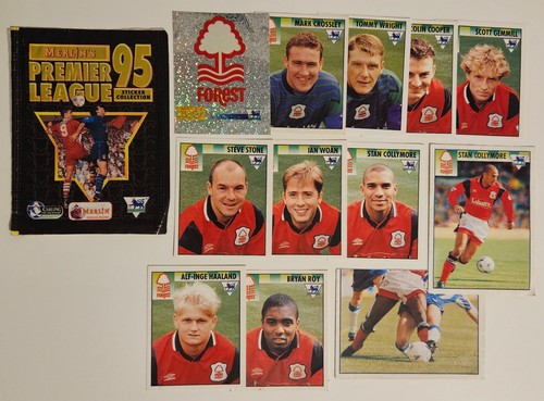 Nottingham forest merlin - nottingham,