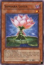 Samsara Lotus - PTDN-EN004 -