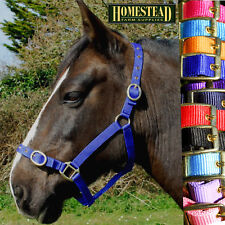 Rhinegold Adjustable