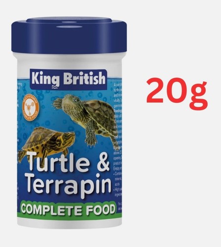 King british turtle - king, terrapin