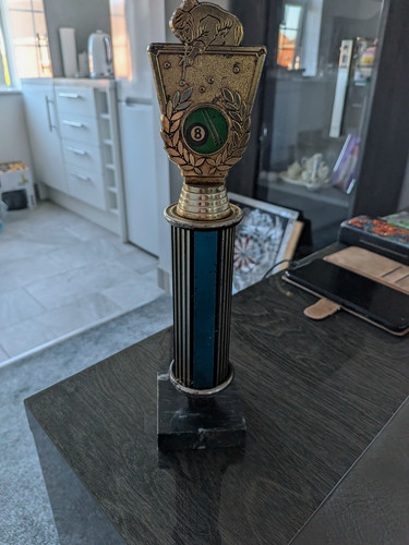 Pool trophy gold - pool, 8