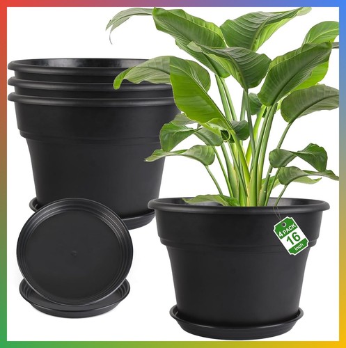 Inch large plant pots 4 - large,