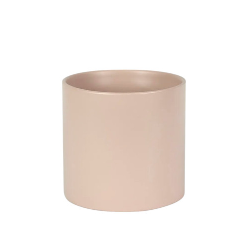 Ceramic indoor plant - indoor, pot