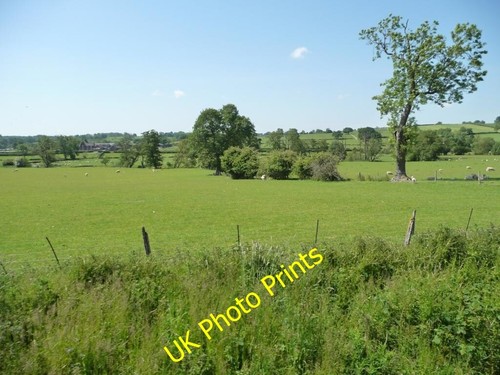 Photo 6x4 forest track - forest,