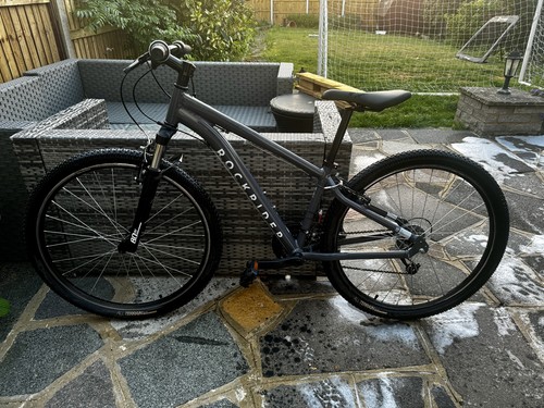 Rockrider mountain bike - mountain,