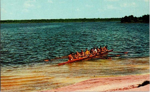 Tavares postcard sculling - fl,