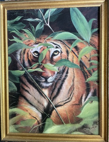 Quiet tiger oil canvas - tiger,