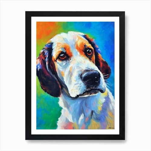 English springer spaniel - english,