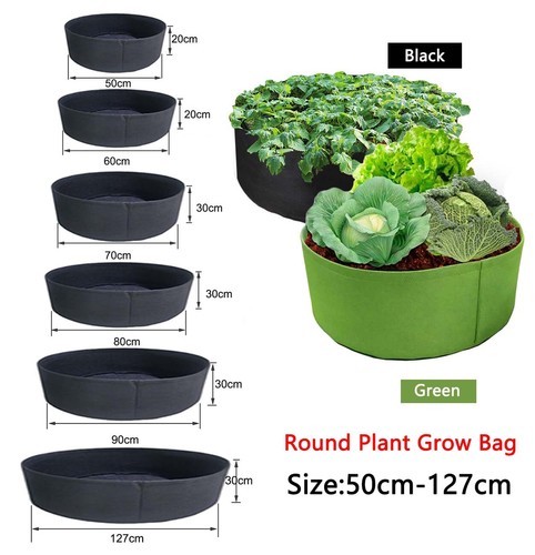 Big 127cm vegetable - big, 50-127cm