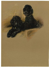 POODLE TWO LITTLE DOGS VINTAGE