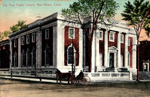 Free public library horse and - horse,
